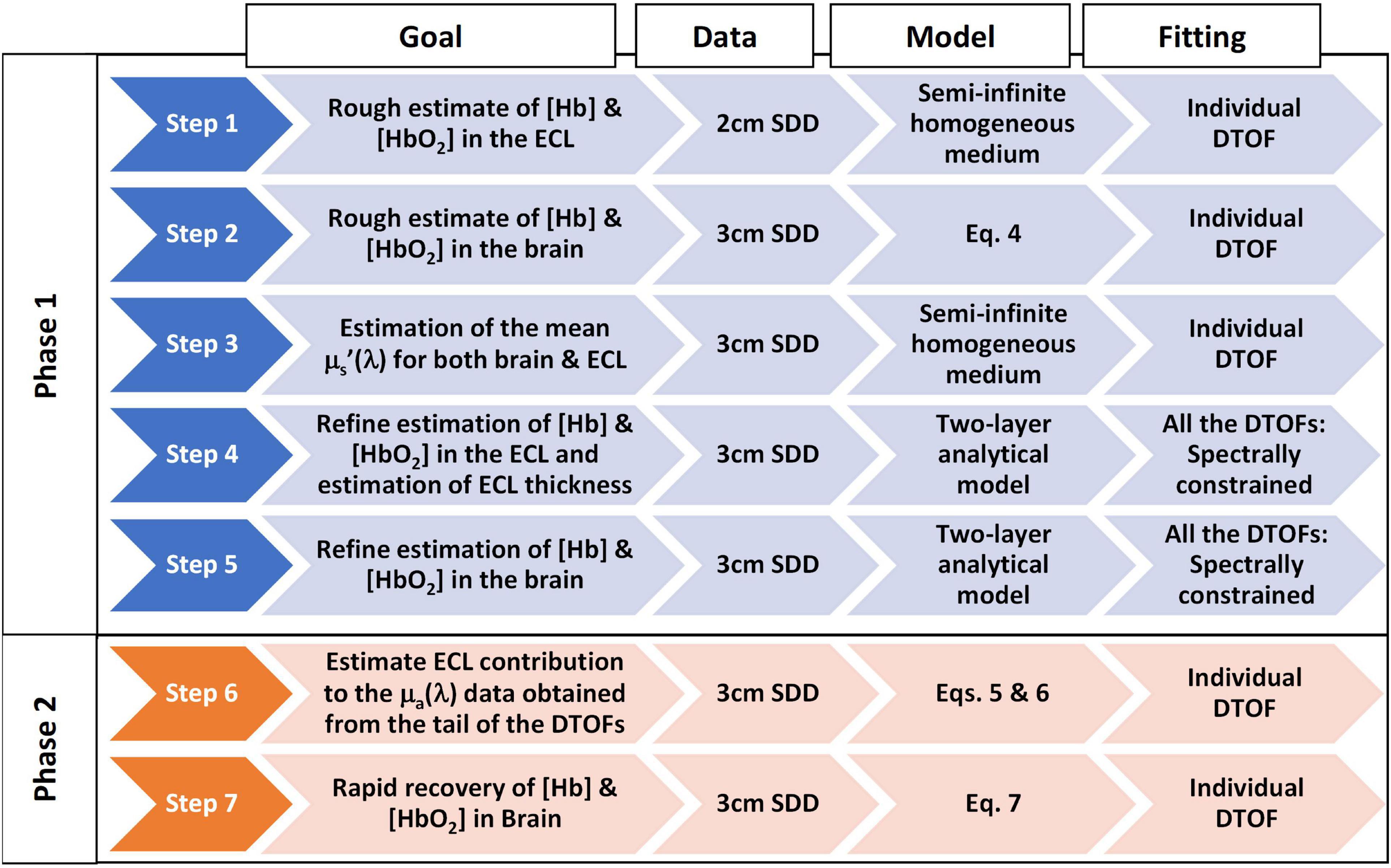 Fast estimation of adult cerebral blood content and oxygenation with hyperspectral time-resolved near-infrared spectroscopy